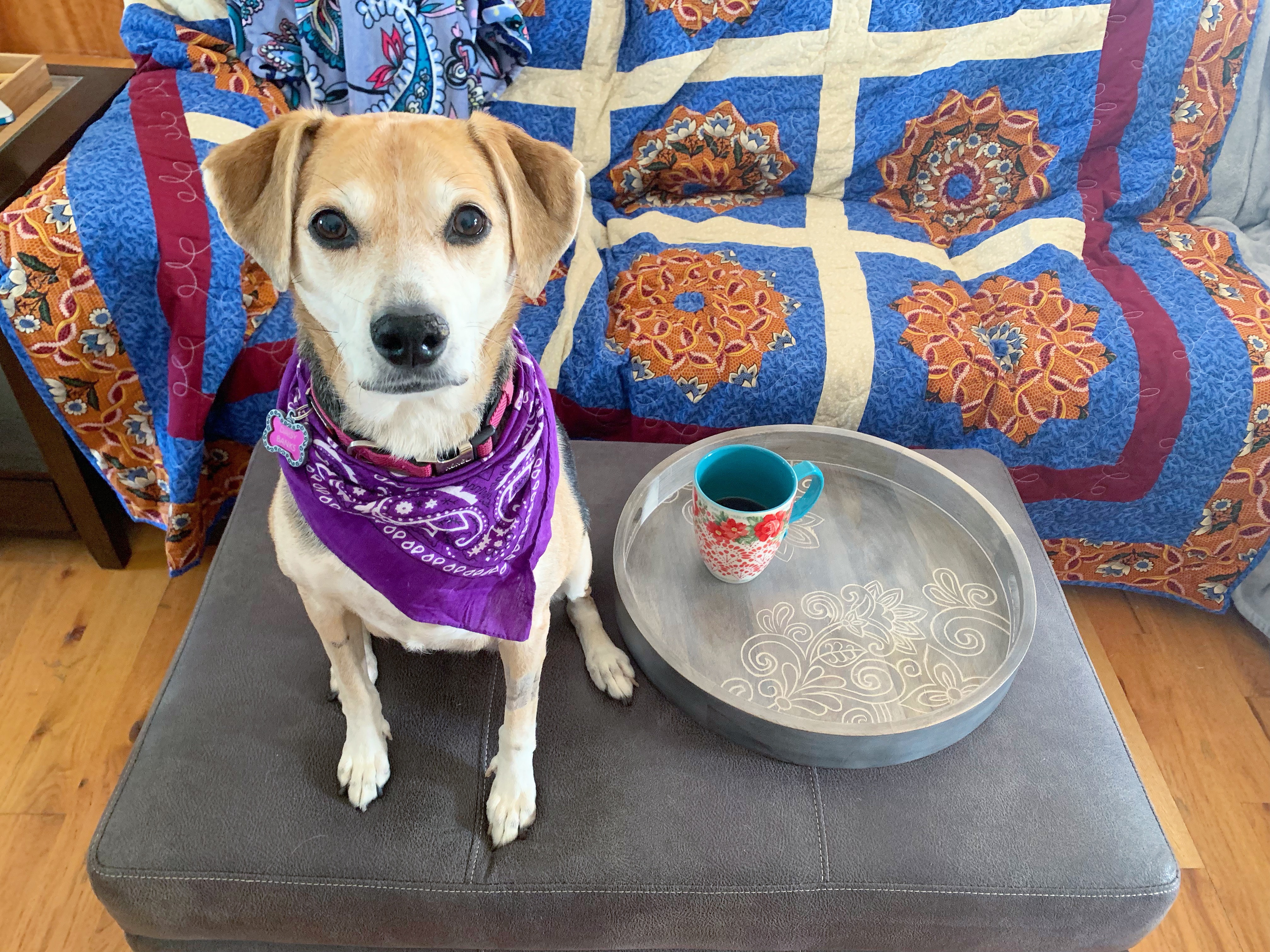 Couch and Coffee Thoughts: Kindness