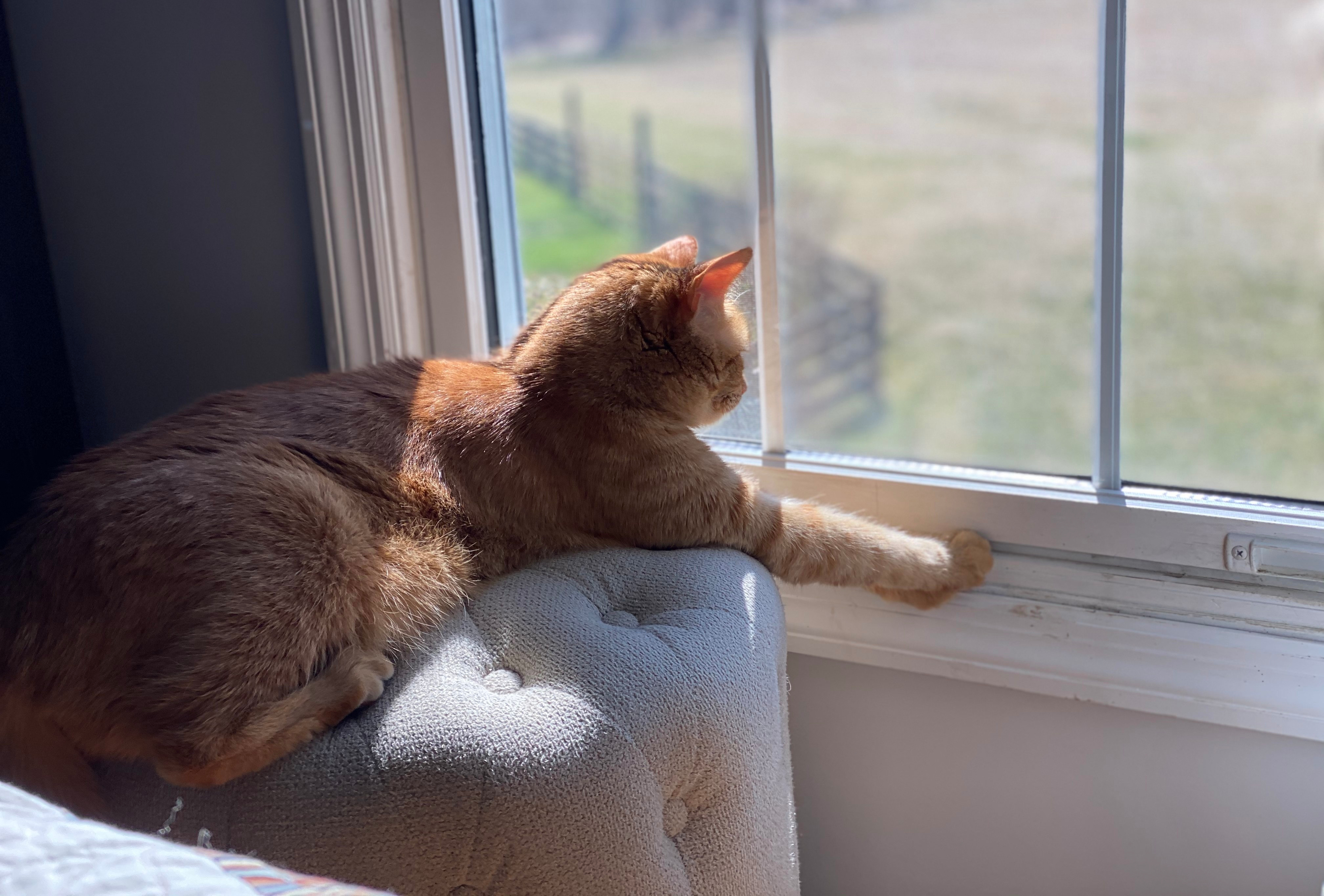 How I Create Normalcy During Isolation